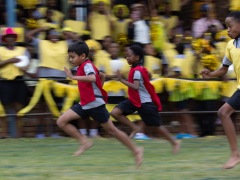073094138SFSD-2