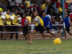 073094415SFSD-3