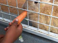 IMG-20230410-WA0000