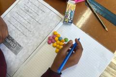Grade 4 Math Activities - Term 2 - 2026