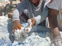 IMG-20230312-WA0002