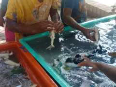 WhatsApp-Image-2026-01-31-at-12.31.15-1