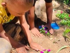 IMG-20231013-WA0072