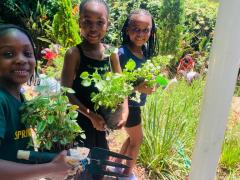 IMG-20231013-WA0079
