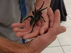 IMG-20250608-WA0005